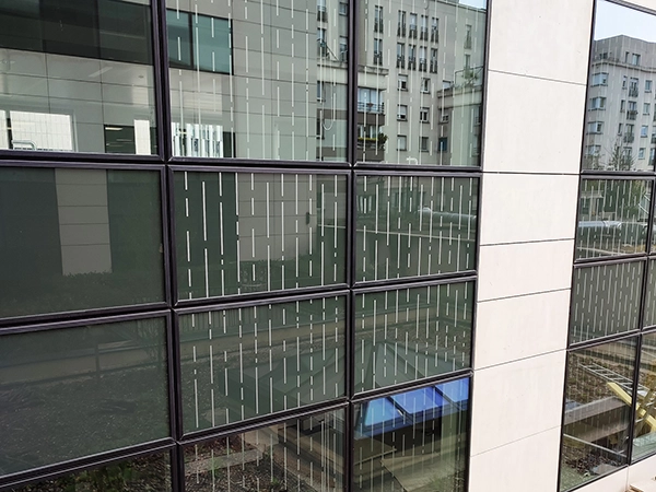 Vitrauphanie pour la protection des oiseaux installée par Énergère dans un immeuble, à Paris.